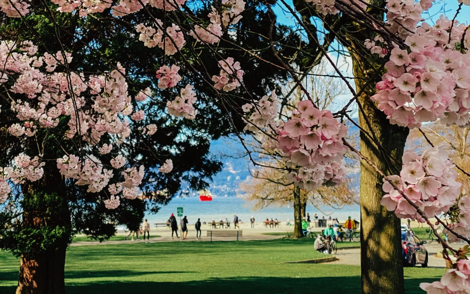 Increased seller activity is giving buyers more choice this spring